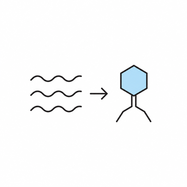 Example sequences prompting a new bacteriophage design