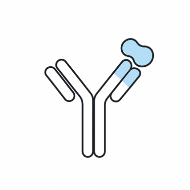 An antibody binding a complementary antigen